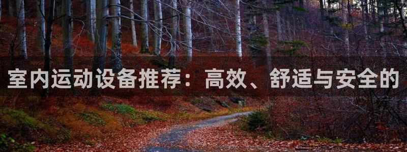 凯捷体育平台是正规平台吗安全吗：室内运动设备推荐：高