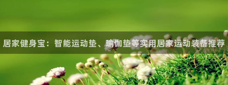 凯捷体育新能源：居家健身宝：智能运动垫、瑜伽垫等实用