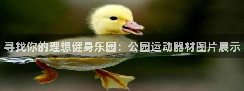 凯捷体育娱乐：寻找你的理想健身乐园：公园运动器材图片