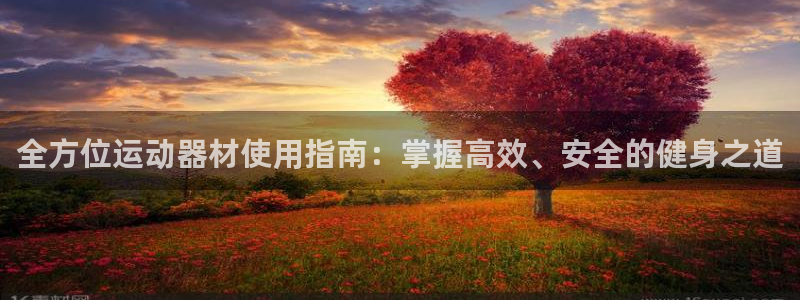 凯捷体育娱乐是那个系列的台子：全方位运动器材使用指南