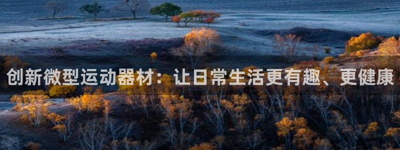 凯捷体育平台注册流程视频：创新微型运动器材：让日常生