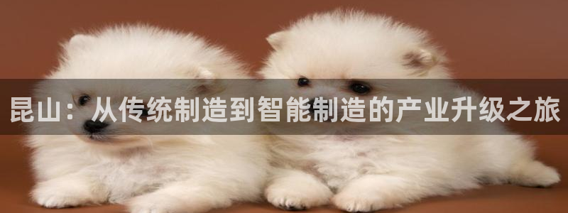 凯捷体育招商：昆山：从传统制造到智能制造的产业升级之