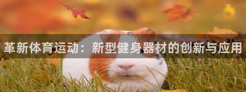 凯捷体育娱乐：革新体育运动：新型健身器材的创新与应用