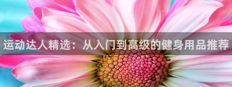 凯捷体育软件：运动达人精选：从入门到高级的健身用品推