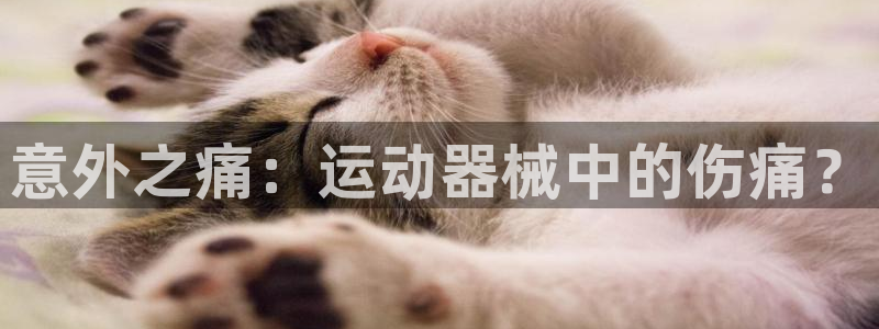凯捷体育平台注册流程视频：意外之痛：运动器械中的伤痛？
