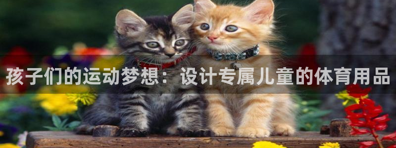 海南凯捷体育发展怎么样：孩子们的运动梦想：设计专属儿