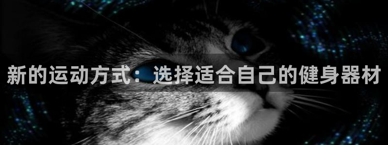 凯捷体育招商
