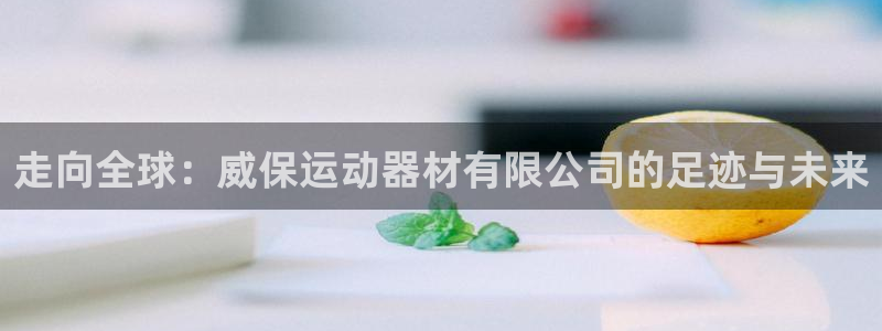 凯捷体育平台注册：走向全球：威保运动器材有限公司的足