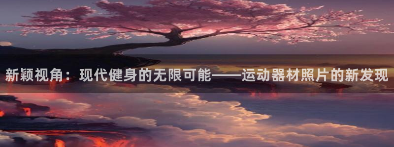 凯捷体育官方：新颖视角：现代健身的无限可能——运动器