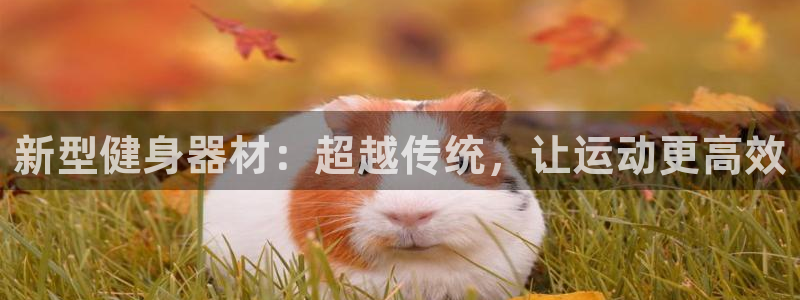 凯捷体育招商电话号码是多少号