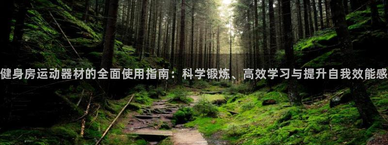 意昂集团官网：健身房运动器材的全面使用指南：科学锻炼