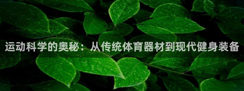 凯捷体育招商：运动科学的奥秘：从传统体育器材到现代健