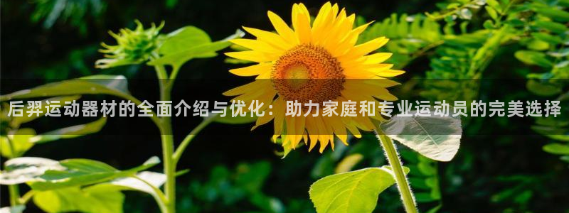 凯捷体育集团简介：后羿运动器材的全面介绍与优化：助力