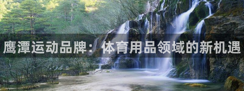 凯捷体育平台是正规平台吗：鹰潭运动品牌：体育用品领域