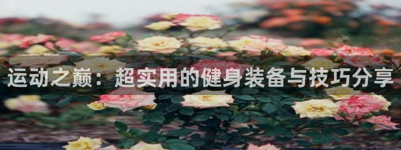 意昂平台体育：运动之巅：超实用的健身装备与技巧分享