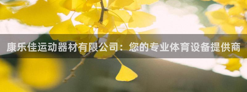 凯捷体育娱乐下载：康乐佳运动器材有限公司：您的专业体
