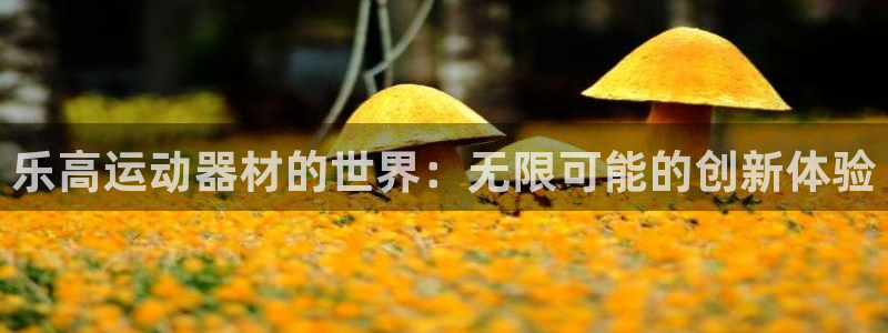 凯捷体育开户：乐高运动器材的世界：无限可能的创新体验