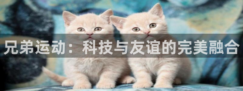 凯捷体育平台注册：兄弟运动：科技与友谊的完美融合