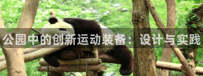 凯捷体育平台注册要钱吗：公园中的创新运动装备：设计与实践
