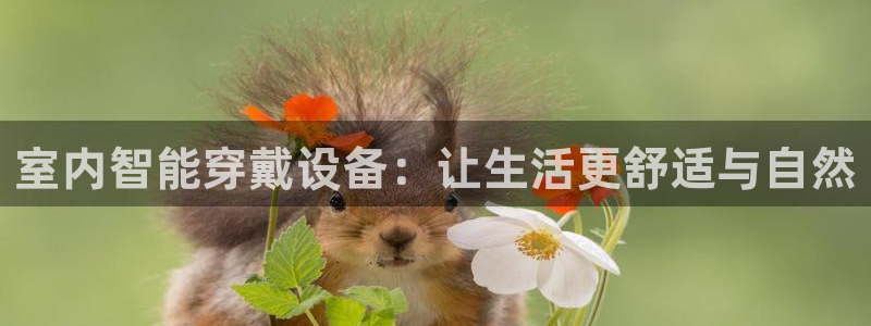 凯捷体育注册：室内智能穿戴设备：让生活更舒适与自然