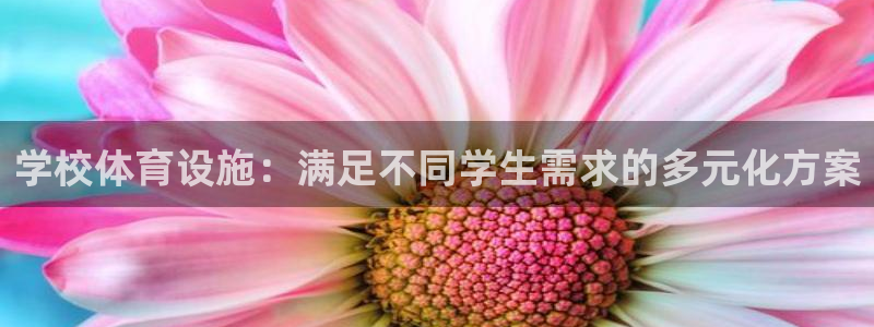 凯捷体育官方客服电话：学校体育设施：满足不同学生需求
