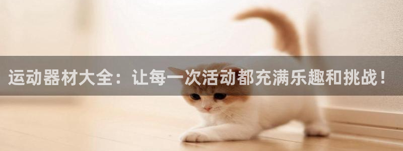 凯捷体育是干嘛的公司：运动器材大全：让每一次活动都充满乐趣和