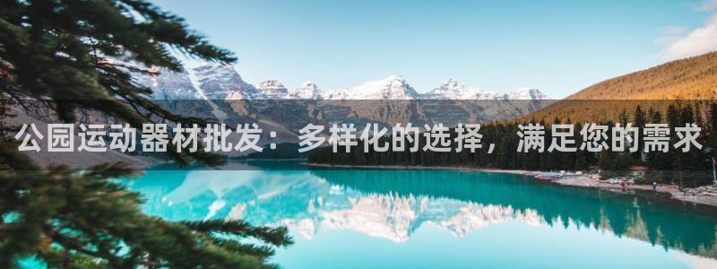 凯捷体育娱乐40996：公园运动器材批发：多样化的选
