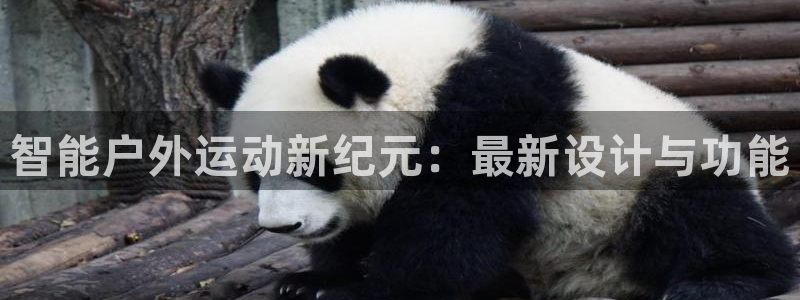 意昂平台体育：智能户外运动新纪元：最新设计与功能