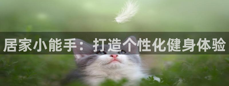 凯捷体育平台是正规平台吗知乎：居家小能手：打造个性化