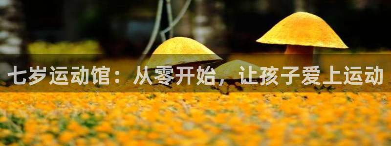 凯捷体育娱乐首页网站大全：七岁运动馆：从零开始，让孩