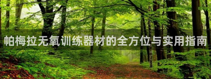 凯捷体育平台注册：帕梅拉无氧训练器材的全方位与实用指