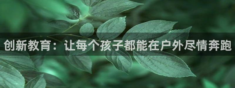 凯捷体育五金厂：创新教育：让每个孩子都能在户外尽情奔