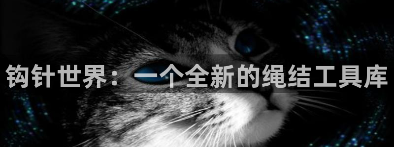 凯捷体育集团官网网址：钩针世界：一个全新的绳结工具库