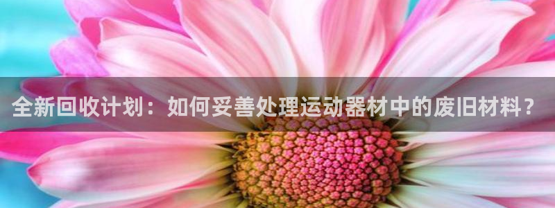 凯捷体育招商电话是多少号码：全新回收计划：如何妥善处