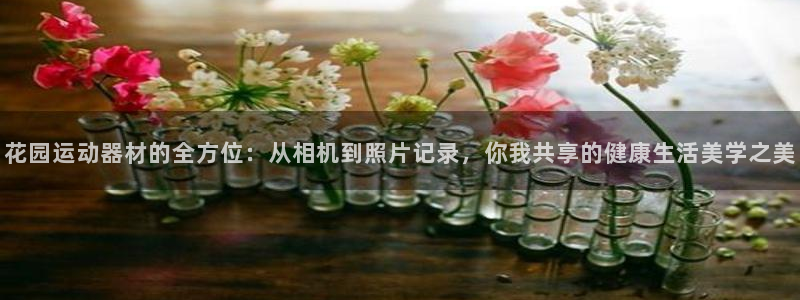 凯捷体育娱乐网站：花园运动器材的全方位：从相机到照片
