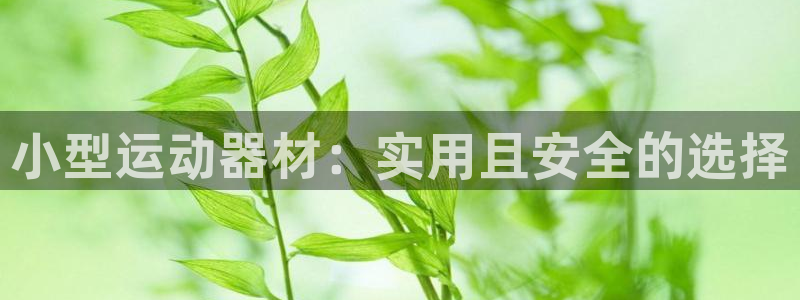 凯捷体育：小型运动器材：实用且安全的选择