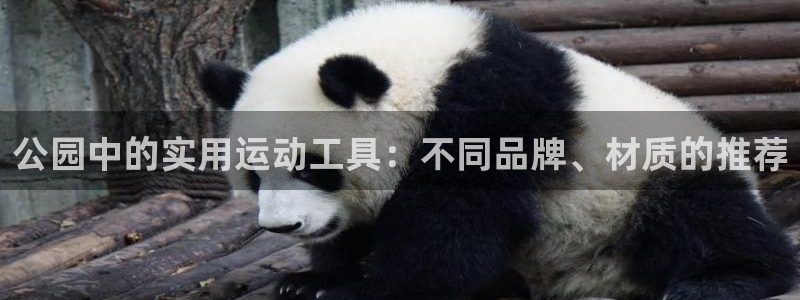 凯捷体育新能源：公园中的实用运动工具：不同品牌、材质的推荐