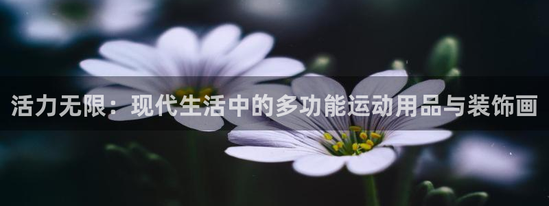 凯捷体育神州：活力无限：现代生活中的多功能运动用品与