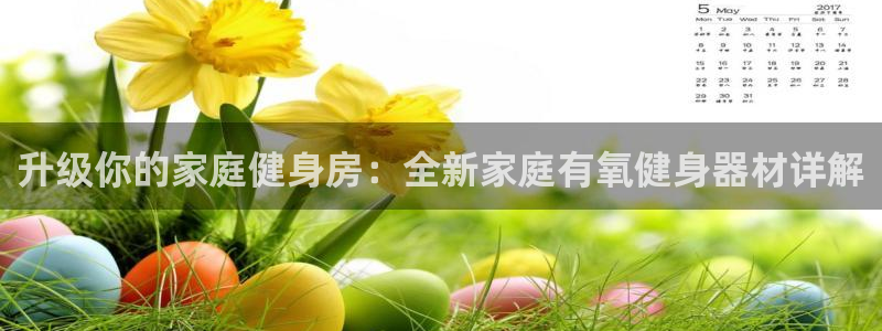 凯捷体育平台假的吗是真的吗：升级你的家庭健身房：全新家庭有氧
