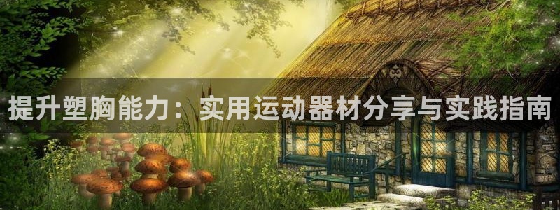 凯捷体育：提升塑胸能力：实用运动器材分享与实践指南