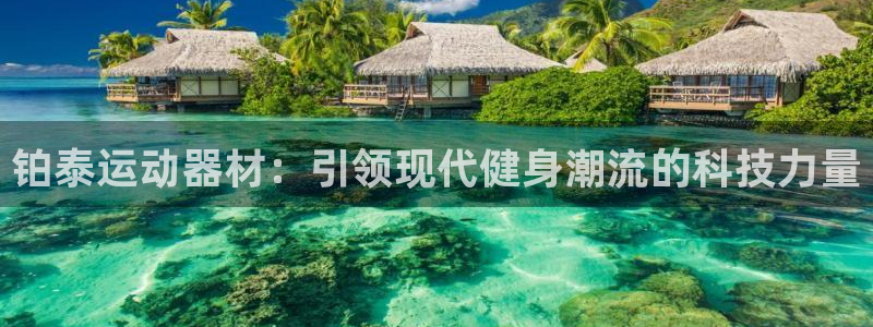 凯捷体育集团官网首页网址