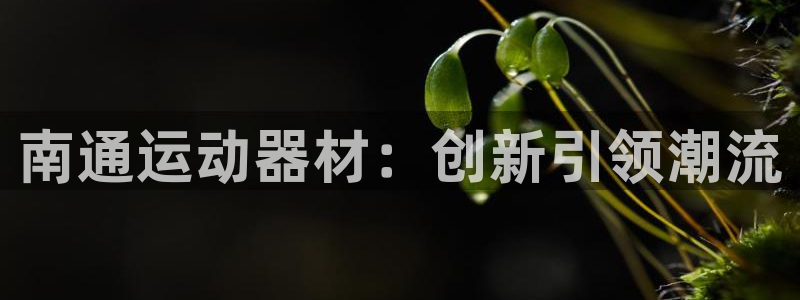 凯捷体育娱乐首页官网下载