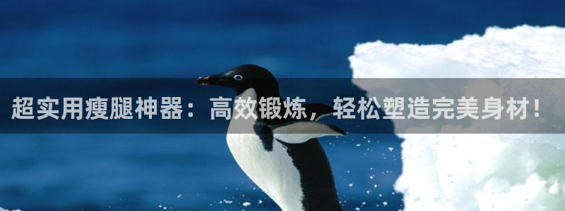 凯捷体育招商电话号码是多少号