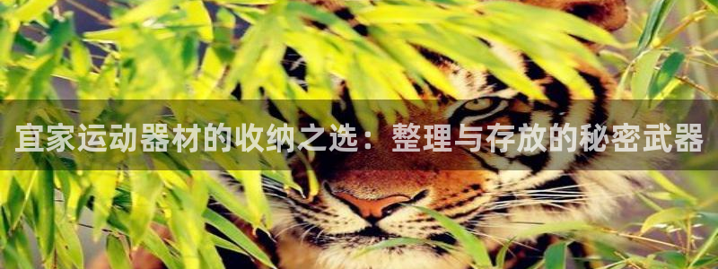 凯捷体育娱乐首页网站大全：宜家运动器材的收纳之选：整