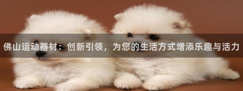 凯捷体育娱乐：佛山运动器材：创新引领，为您的生活方式