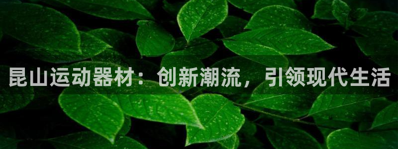 凯捷体育平台是正规平台吗知乎：昆山运动器材：创新潮流