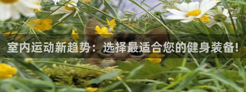 凯捷体育招商电话是多少啊：室内运动新趋势：选择最适合