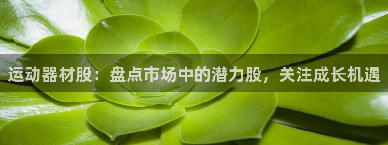 凯捷体育娱乐是那个系列的台子：运动器材股：盘点市场中
