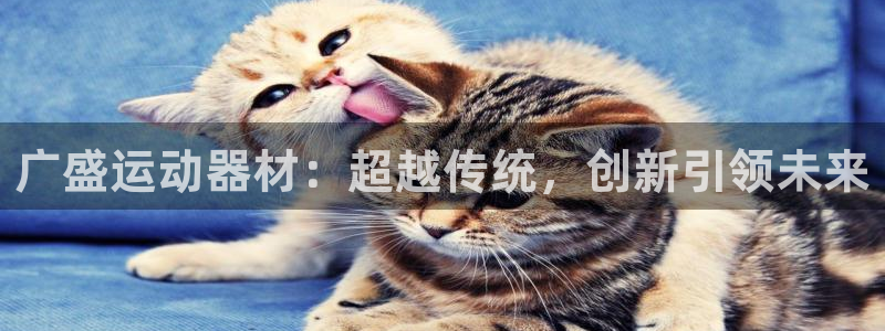 凯捷体育平台是正规平台吗安全吗：广盛运动器材：超越传