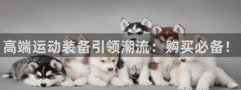 凯捷体育注册：高端运动装备引领潮流：购买必备！